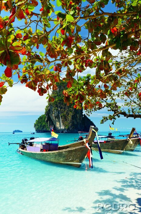 Poster  Paysage de Thaïlande