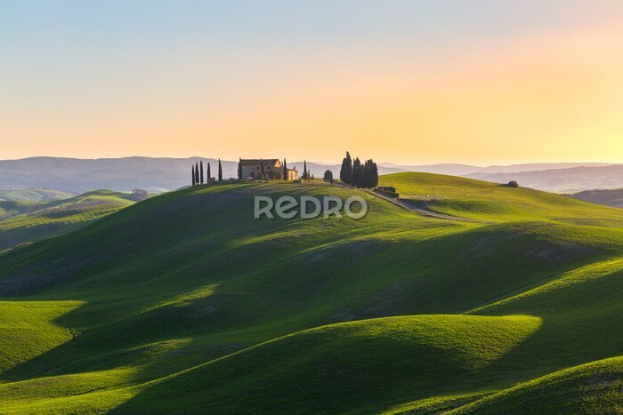 Poster  Paysage de Toscane avec des collines vertes