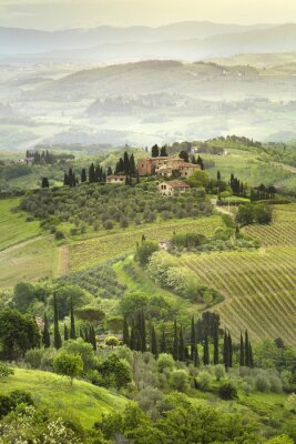 Poster  Paysage de Toscane depuis une colline