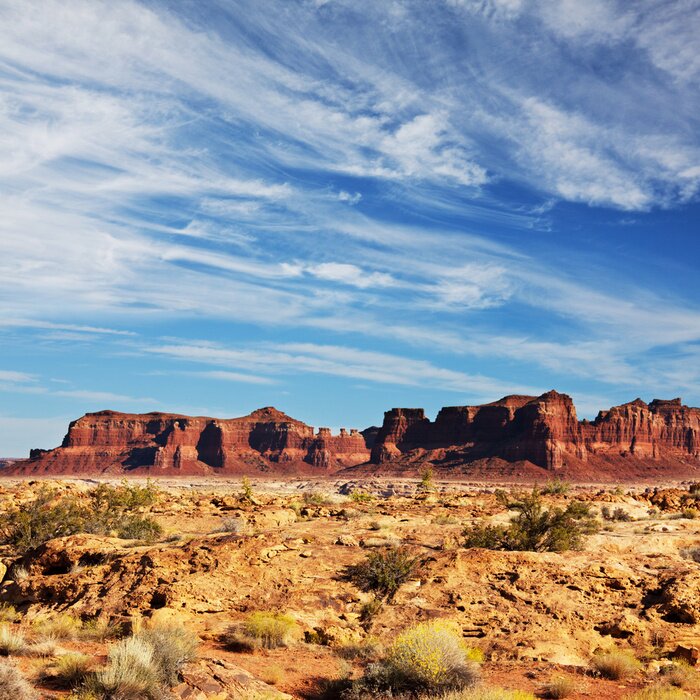 Poster  Paysage des prairies