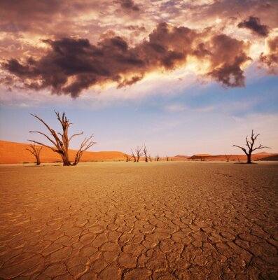 Paysage du désert du Namib