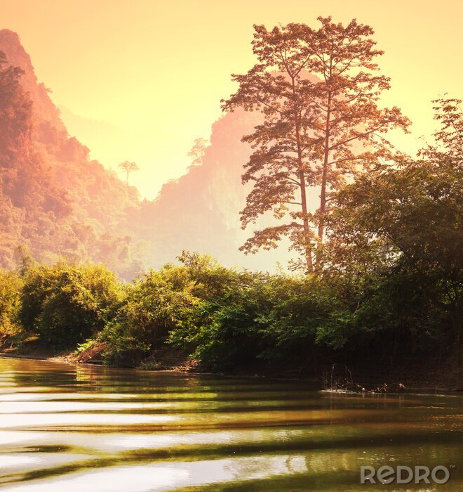 Poster  Paysage forestier au Vietnam
