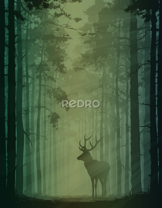Poster  Paysage forestier avec des cerfs