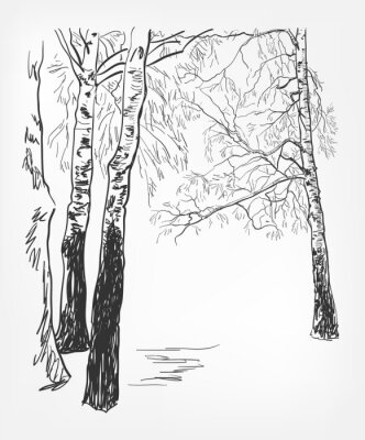 Poster  Paysage hivernal avec une forêt de bouleaux