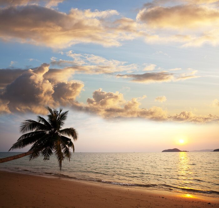 Poster  Paysage marin avec vue tropicale