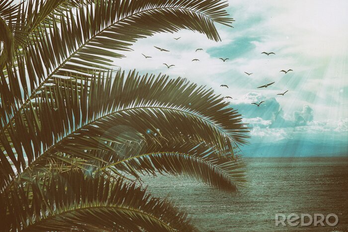 Poster  Paysage marin rétro avec des feuilles de palmier, des oiseaux et des rayons du soleil. Texture vintage avec de la poussière et des rayures.