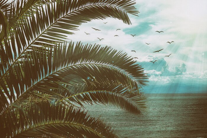 Poster  Paysage marin rétro avec des feuilles de palmier, des oiseaux et des rayons du soleil. Texture vintage avec de la poussière et des rayures.