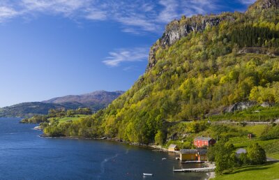 Poster  Paysage norvégien avec un fjord