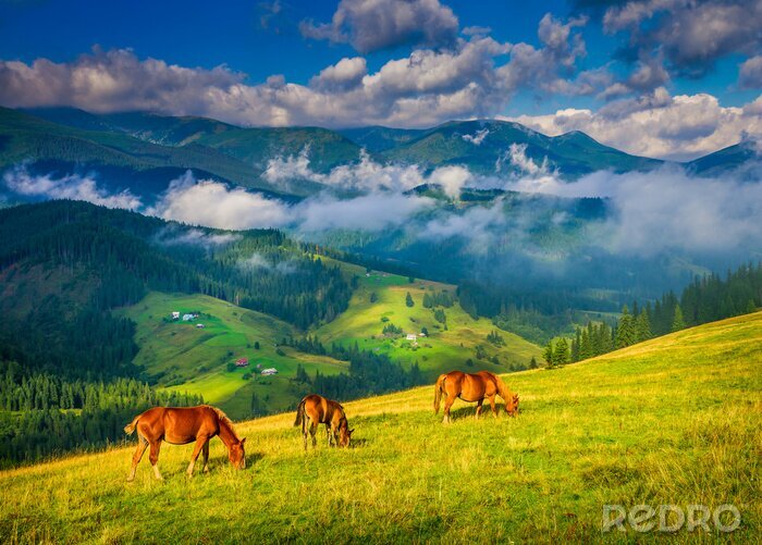 Poster  Paysage pittoresque avec des animaux