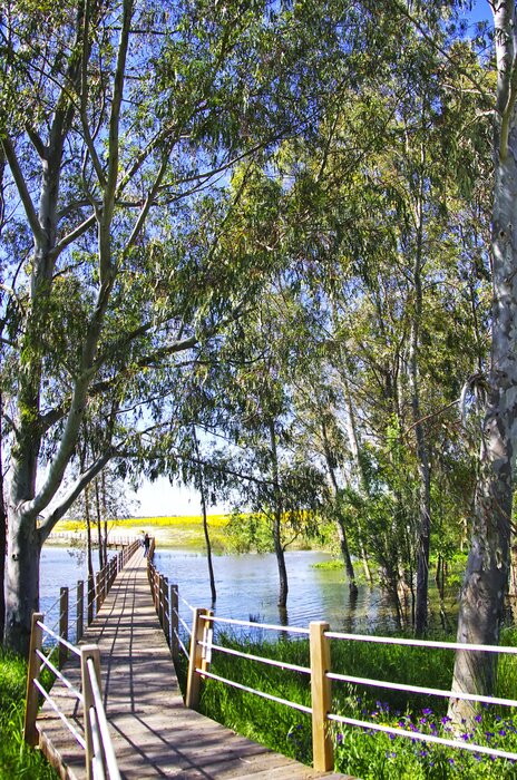 Poster  Paysage pittoresque d'un lac portugais