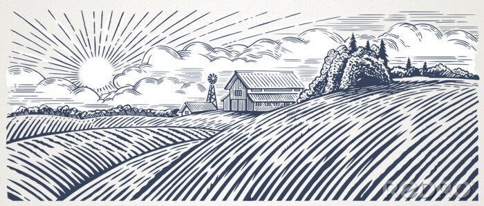 Poster  Paysage rural avec une ferme en style gravé. Tiré à la main et converti en illustration vectorielle
