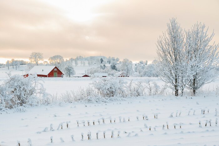 Poster  Paysage rustique d'hiver