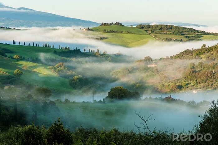 Poster  Paysage typique de la Toscane dans la brume du matin