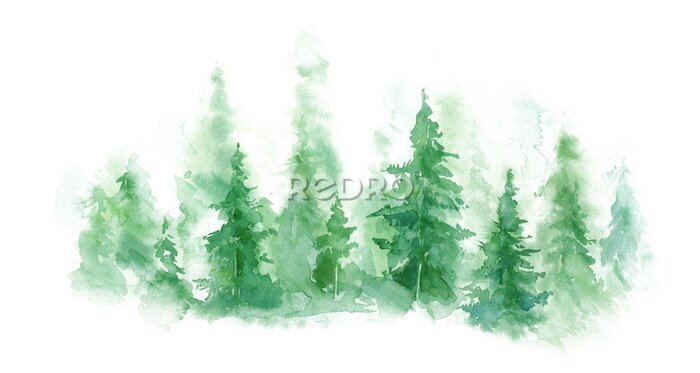 Poster  Paysage verdoyant de forêt brumeuse, colline d'hiver. Nature sauvage, glacée, brumeuse, taïga. fond d'aquarelle