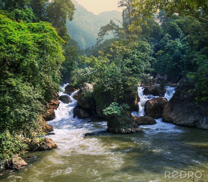 Poster  Paysage vietnamien avec une rivière