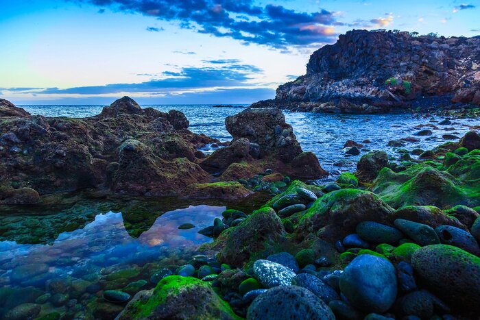 Poster  Paysages marins et côte rocheuse