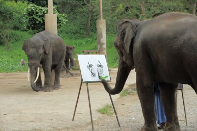 Poster  Peinture éléphant