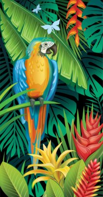 Poster  Perroquet coloré sur le fond de la jungle