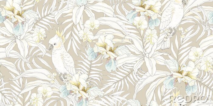 Poster  Perroquets cacatoès entre des fleurs d'orchidées