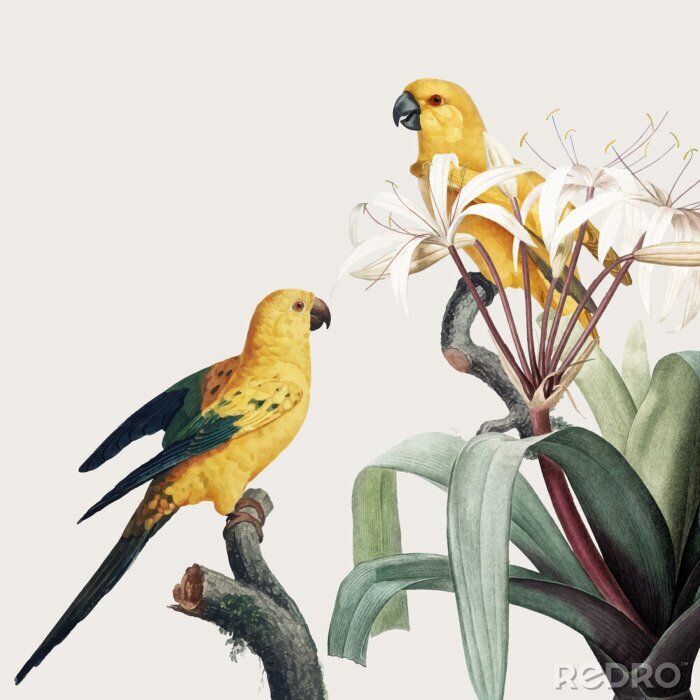 Poster  Perroquets jaunes et végétation tropicale