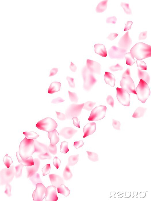 Poster  Pétales roses et blancs tombants aux contours flous