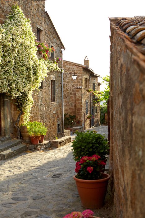 Poster  Petite rue lumière du soir