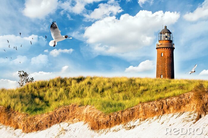 Poster  Phare au coucher du soleil