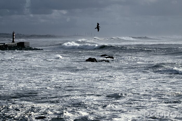 Poster  Phare mer en hiver
