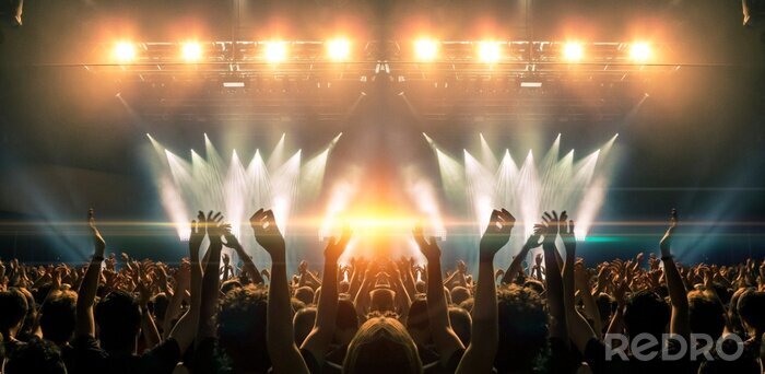 Poster  Photo of a concert hall with people silhouettes clapping in front of a big stage lit by spotlights. Shot is taken from concert crowd point of view, lens flare is visible.