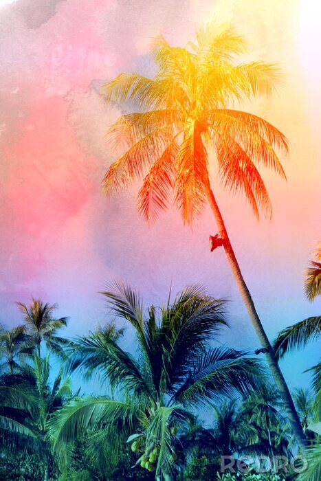 Poster  Photo rétro d'un palmier sur la plage