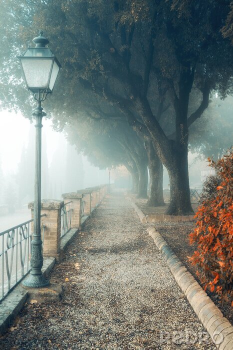 Poster  Photographie d'une allée dans la brume
