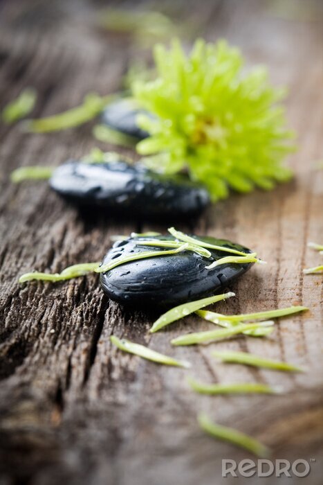 Poster  Pierres avec des gouttes d'eau