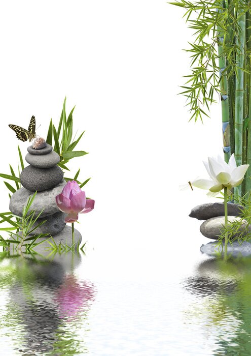 Poster  Pierres envahies entourées de plantes vertes