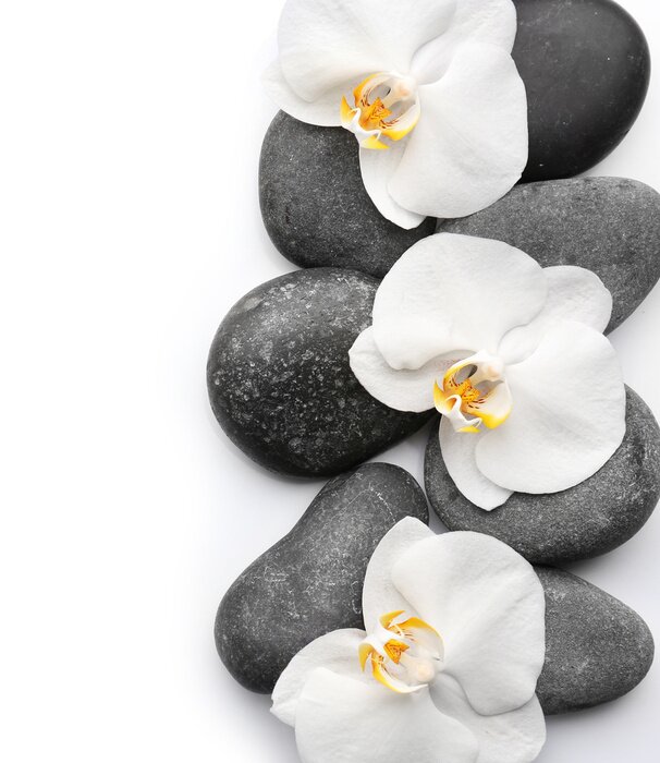 Poster  Pierres et orchidée aux pétales blancs