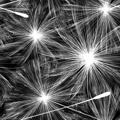 Papier peint à motif  Pissenlit noir et blanc grand motif