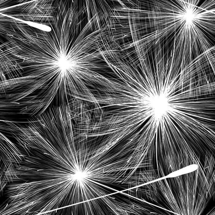 Poster  Pissenlit noir et blanc grand motif