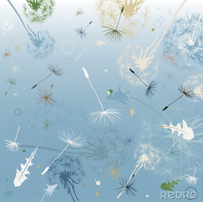 Poster  Pissenlits, graines et espace vert