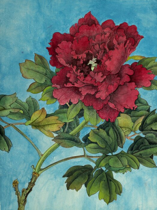 Poster  Pivoine rouge