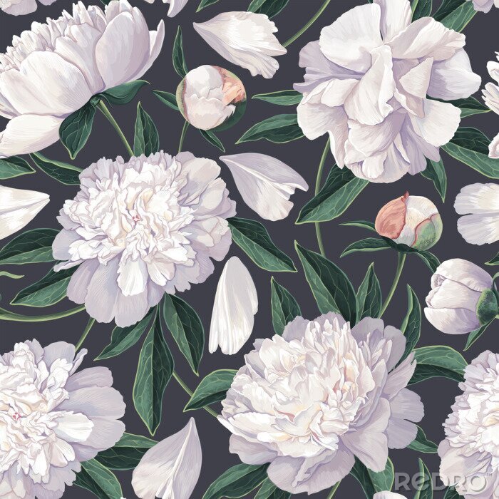 Poster  Pivoines blanches grandes fleurs fond sombre