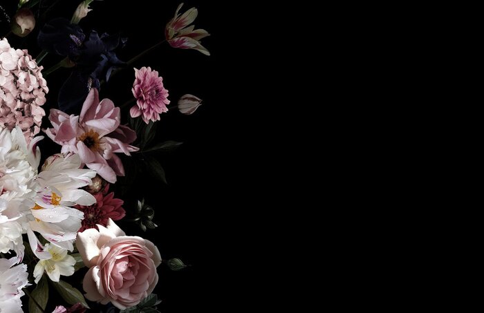 Poster  Pivoines dans l'obscurité de la noirceur enveloppante