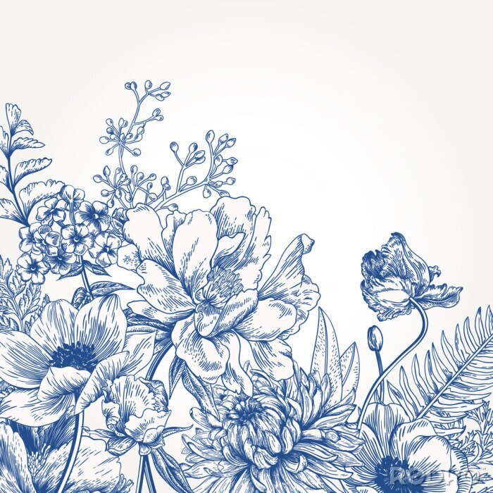 Poster  Pivoines et plantes des champs dessinées avec une ligne bleue