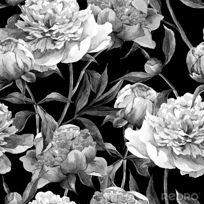 Poster  Pivoines monochromes