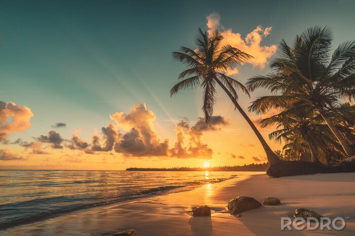 Poster  Plage tropicale à Punta Cana, République dominicaine. Palmiers sur une île sablonneuse dans l'océan.