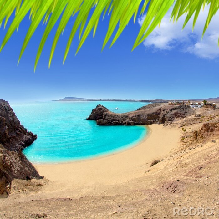 Poster  Plage tropicale et mer turquoise