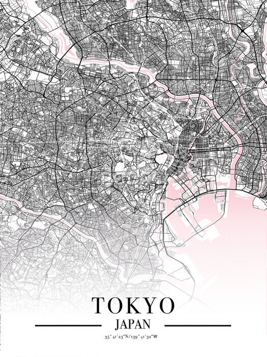 Poster  Plan des rues de Tokyo