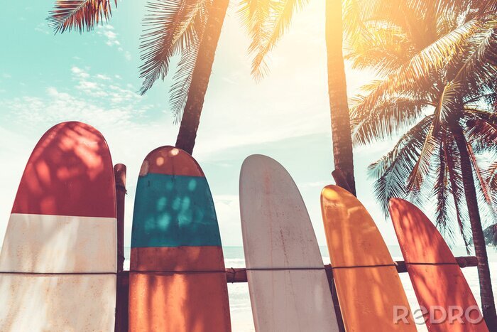 Poster  Planches de surf et palmiers