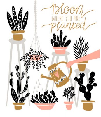 Poster  Plantes à feuilles caduques et cactus dans des pots colorés
