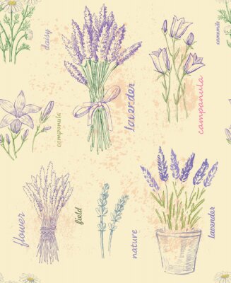Plantes à fleurs violettes et signatures stylisées