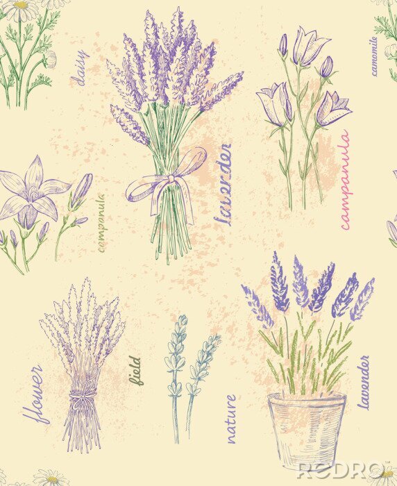 Poster  Plantes à fleurs violettes et signatures stylisées