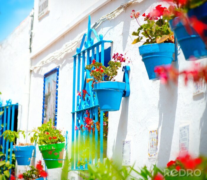 Poster  Plantes colorées sur une maison blanche